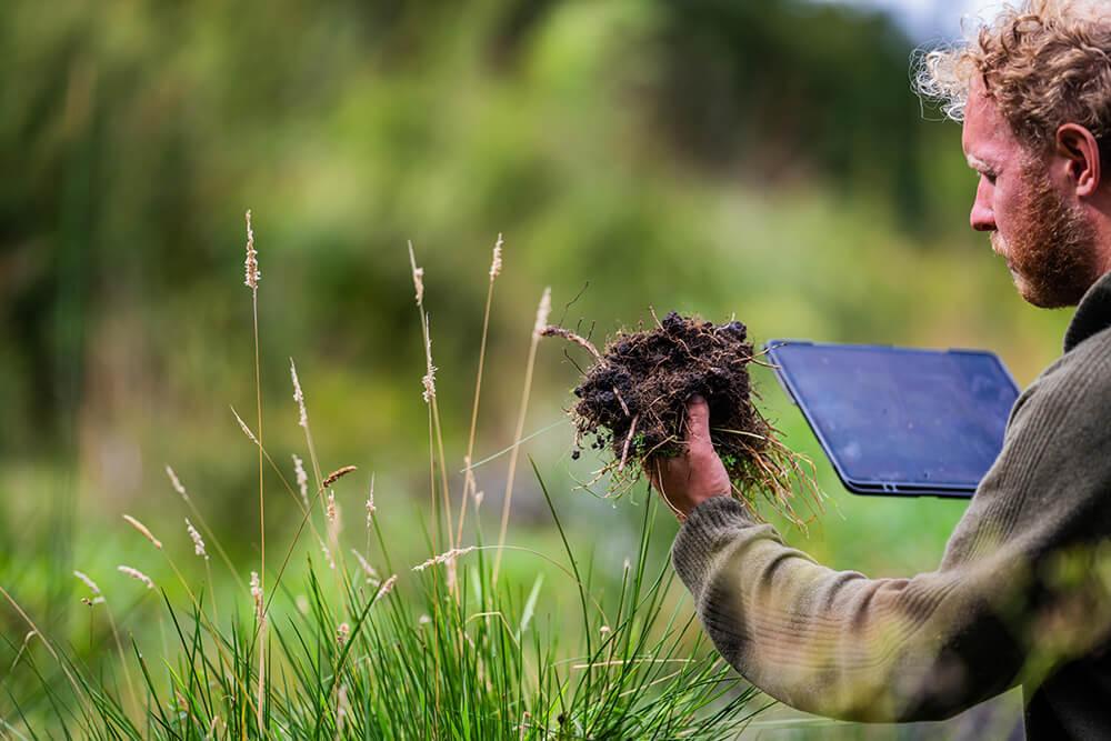 a person looking at a clump of soil