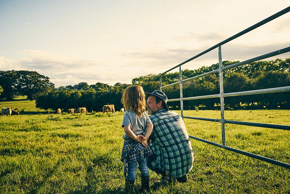 Person and child standing beside a farm gate, looking across a grassy paddock with cattle grazing in the distance. Trees line the horizon under a bright sky.