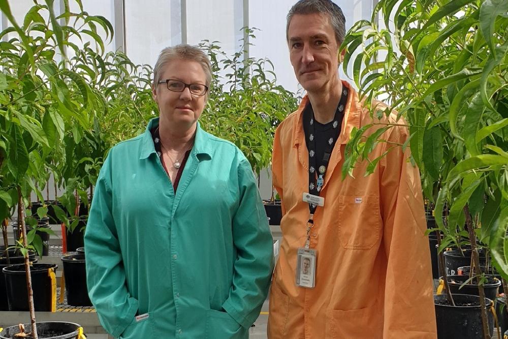 Photo of two people standing in front of indoor trees. They are Dr Julie Pattemore (SSG) and Dr Adrian Dinsdale (PIC) at the Post Entry Quarantine Facility (PEQ) 
