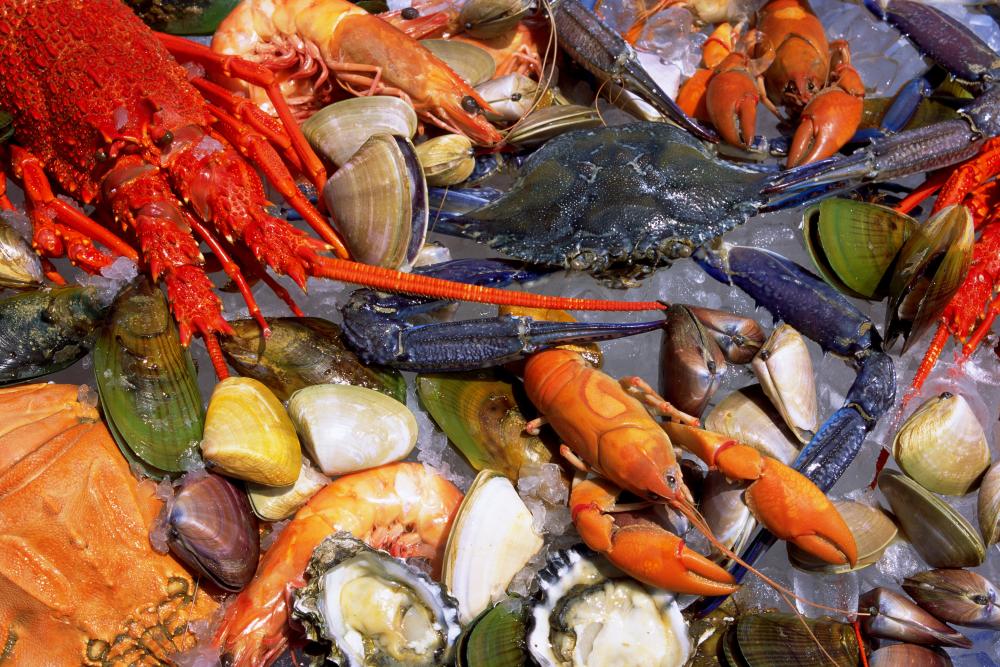Image of various shellfish and seafood