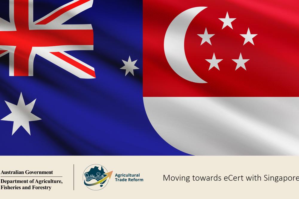 Image of Australian and Singapore national flags and various logos