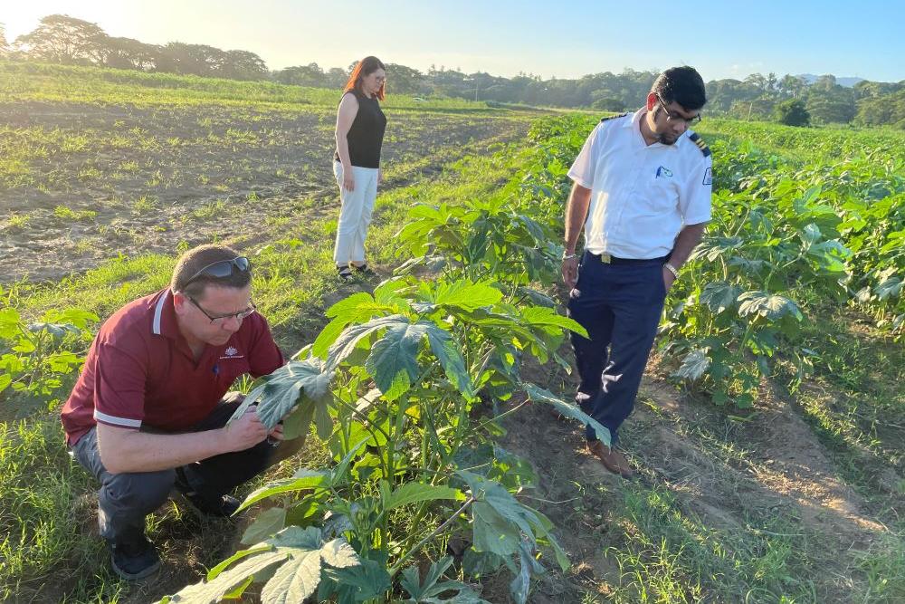 Three people stand either side of a raised mound with plants on it
