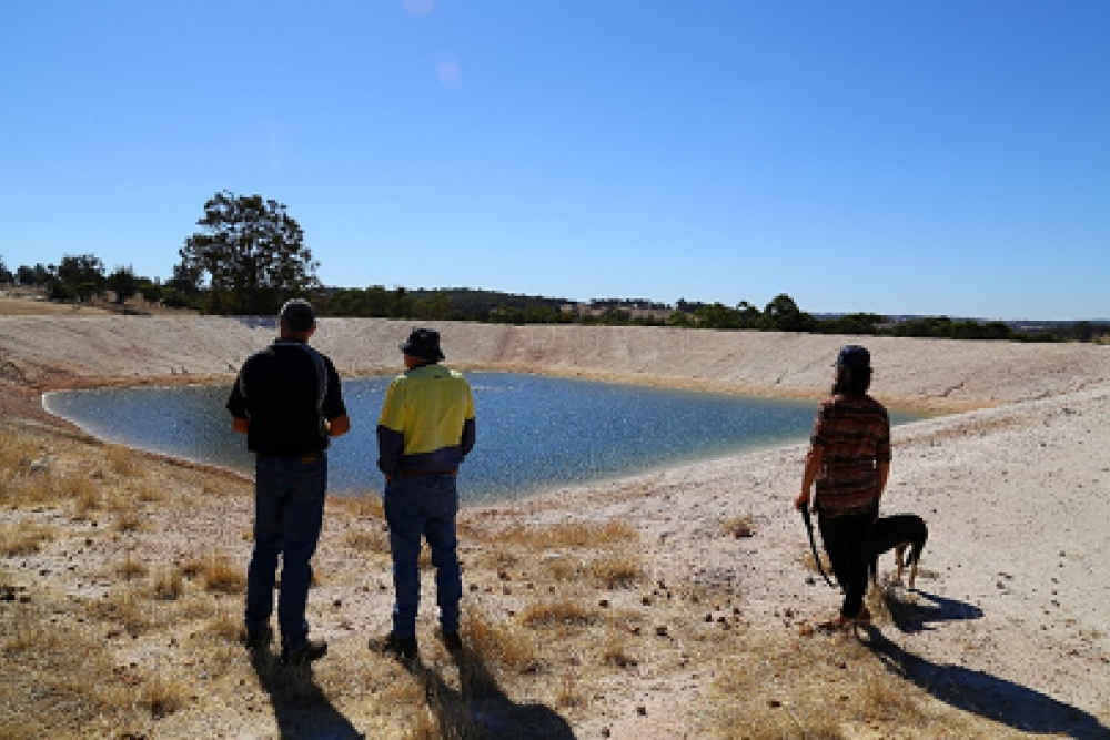 Dr Richard George from the WaterSmart Dams project (left), with farmer and grower group representatives at a West Kojonup farm dam, discussing how decreasing runoff is reducing dam effectiveness.  Photo credit: Associate Professor Nik Callow, The University of Western Australia.