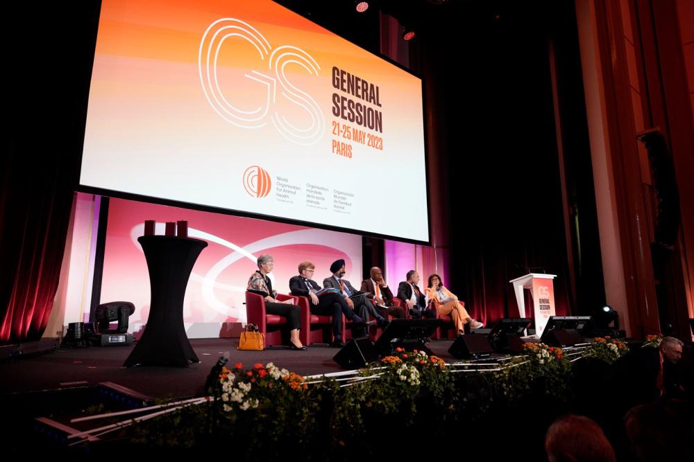 Image of a panel on a stage giving a presentation
