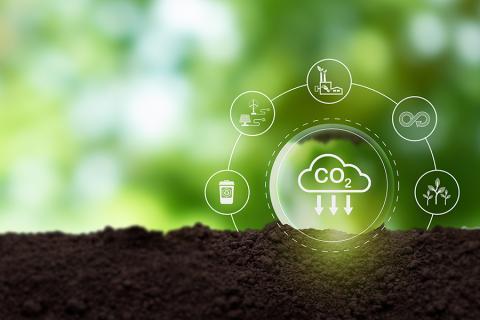 7. Increasing carbon sequestration.jpg