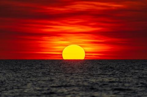 CFOP_Picture20.jpg