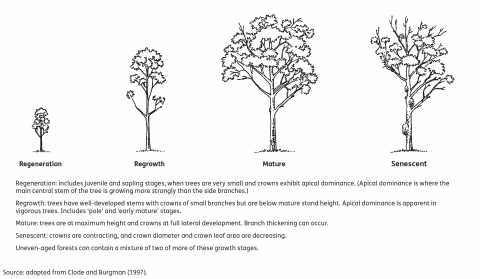 Growth stage