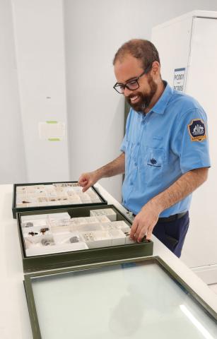 Senior Entomologist Mike Elias