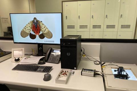 Entomology’s Imaging Laboratory in the Melbourne Regional Office. 