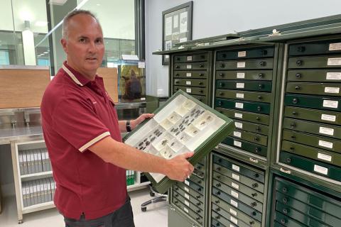 Principal Entomologist Adam Broadley shows one of the drawers from Entomology’s reference collection in the Melbourne Regional Office. 