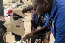Indigenous ranger viewing a specimen through a microscope.