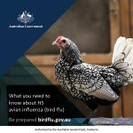 Show birds social tile